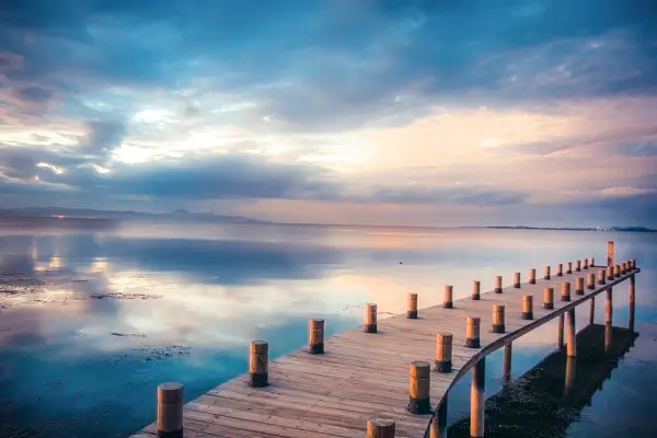 深圳车管所附近美食攻略